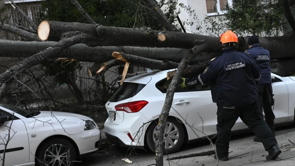 Бурен вятър събори дърво върху автомобил в София